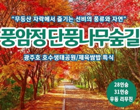 [C-56] 광주 풍암정 단풍나무숲길+광주호 호수생태공원