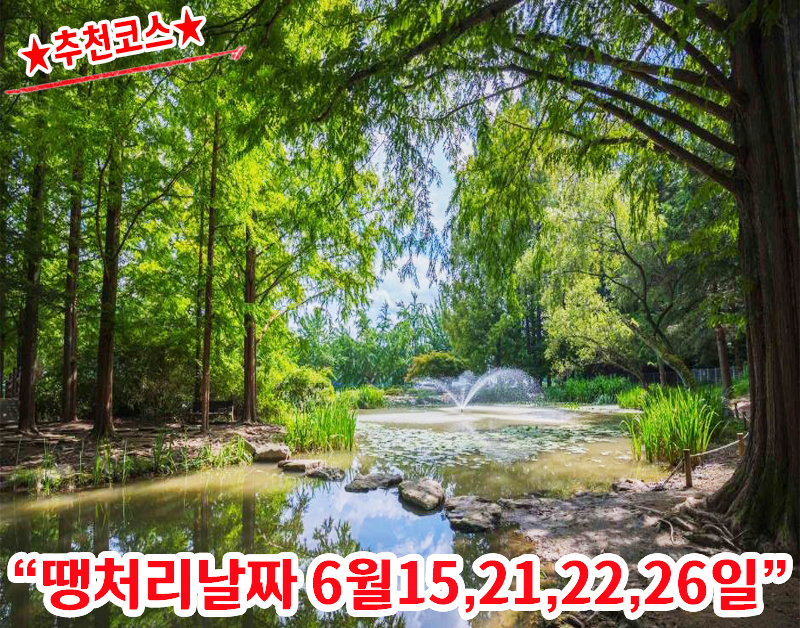 [C-57C] 추천여행 3식제공! 안동 낙강물길공원+예천 소백산하늘자락전망대+삼강주막 새참