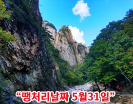 [C-62A] 추천코스 남설악 주전골 탐방로+동해바다뷰 카페+낙산사