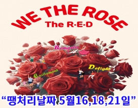[C-63] 곡성세계장미축제(섬진강기차마을)+강천산군립공원+고추장마을