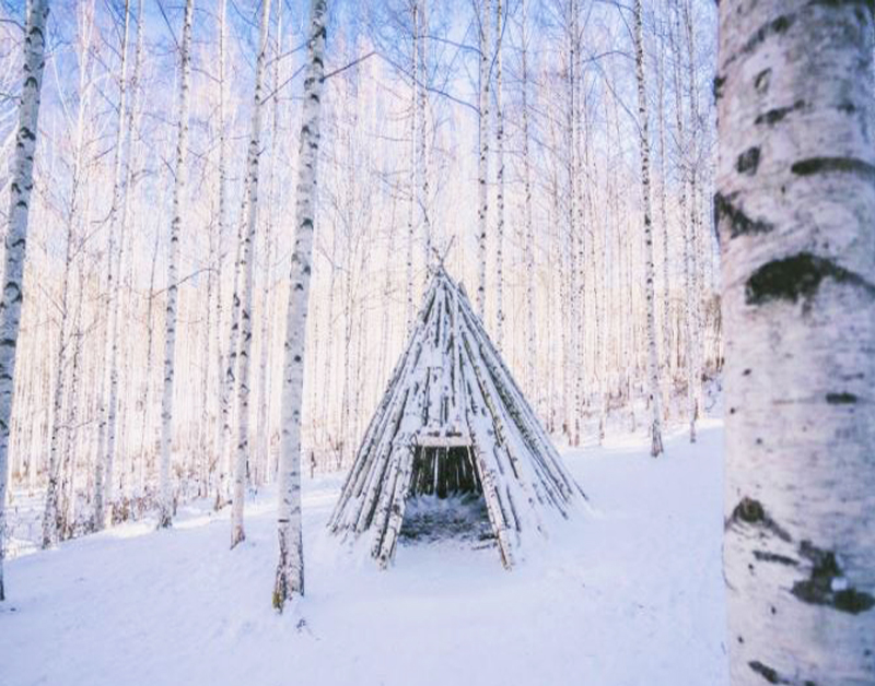 [C-87D] 인제 자작나무 숲 설경여행+속초 외옹치 바다향기로+울산바위뷰 카페