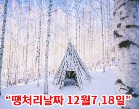 [C-87D] 인제 자작나무 숲 설경여행+속초 외옹치 바다향기로+울산바위뷰 카페
