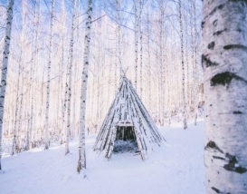 [C-87D] 인제 자작나무 숲 설경여행+속초 외옹치 바다향기로+울산바위뷰 카페