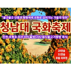 [C-93C] 청남대 국화축제&단풍+국내최장 무주탑현수교 초평호 미르309출렁다리