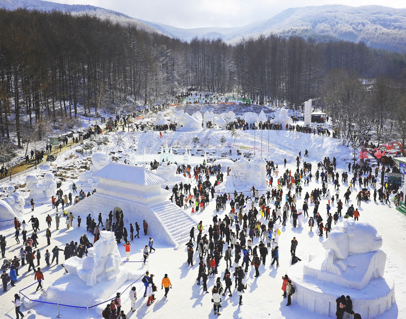 [C-97D] 태백 눈꽃축제&태백산하늘전망대+몽토랑 산양목장