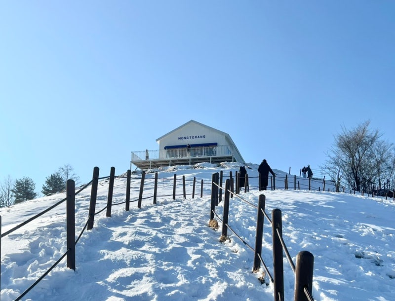[C-97D] 태백 눈꽃축제&태백산하늘전망대+몽토랑 산양목장