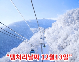 [C-99D] 발왕산 케이블카+삼양라운드힐 설경