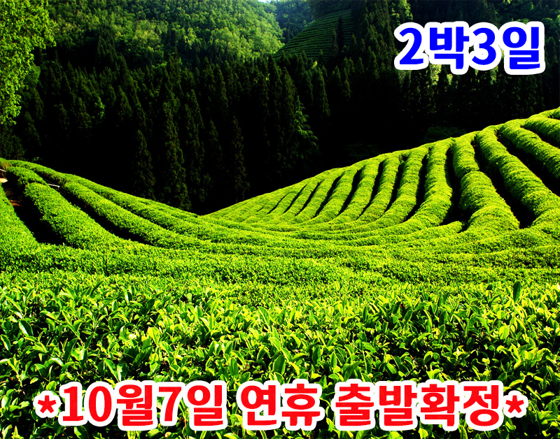 [K-1] 전남 목포+해남+장흥+보성+여수 맛기행 일주 2박3일