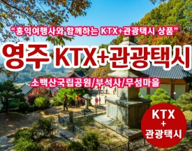 [T-1] 홍익여행사와 함께하는 영주KTX+관광택시 기차여행(2인이상 출발)