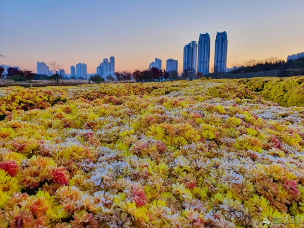 [T-13] 홍익여행사와 함께하는 경주+울산+부산 KTX 2박3일 기차여행(8인이상 출발)